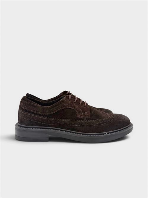 Stringata in camoscio marrone scuro con lavorazione brogue FUNNY DUCK | VR60002CAMOSCIODARK BROWN